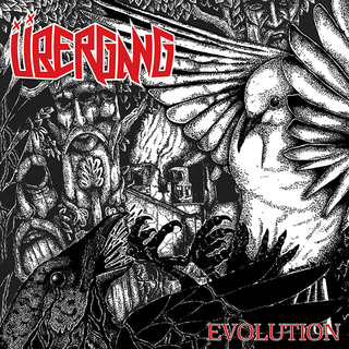 bergang - evolution black LP