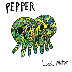 Pepper - local motion