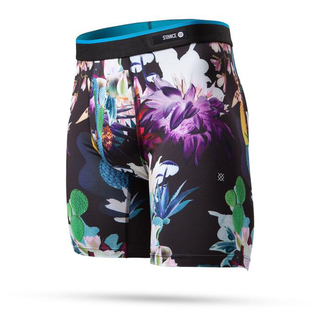 Stance - the boxer brief cactus rave