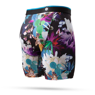 Stance - the boxer brief cactus rave S