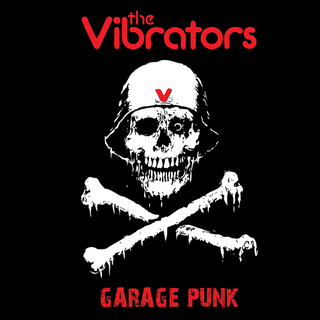 Vibrators, The - garage punk