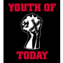 Youth Of Today - fist Sticker