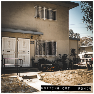 Rotting Out - Ronin CD