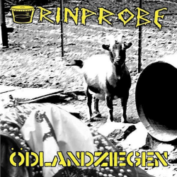 Urinprobe - ödlandziegen