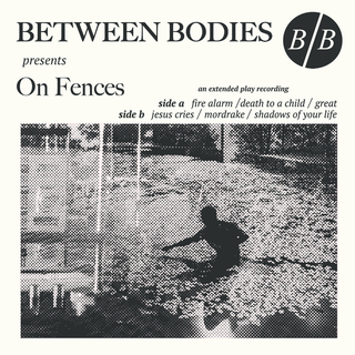 Between Bodies - on fences 10